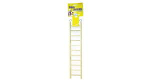 WOODEN 11 STEP LADDER