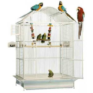 xlarge bird cage 1000x1000 1 300x300 1